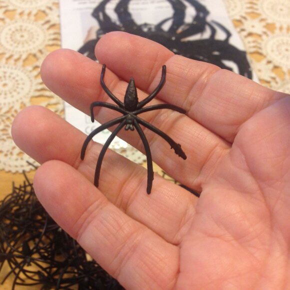 Creepy Crawly Spiders bundle for Halloween - Picture 4 of 4